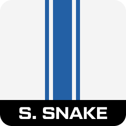 Peinture-Super-Snake