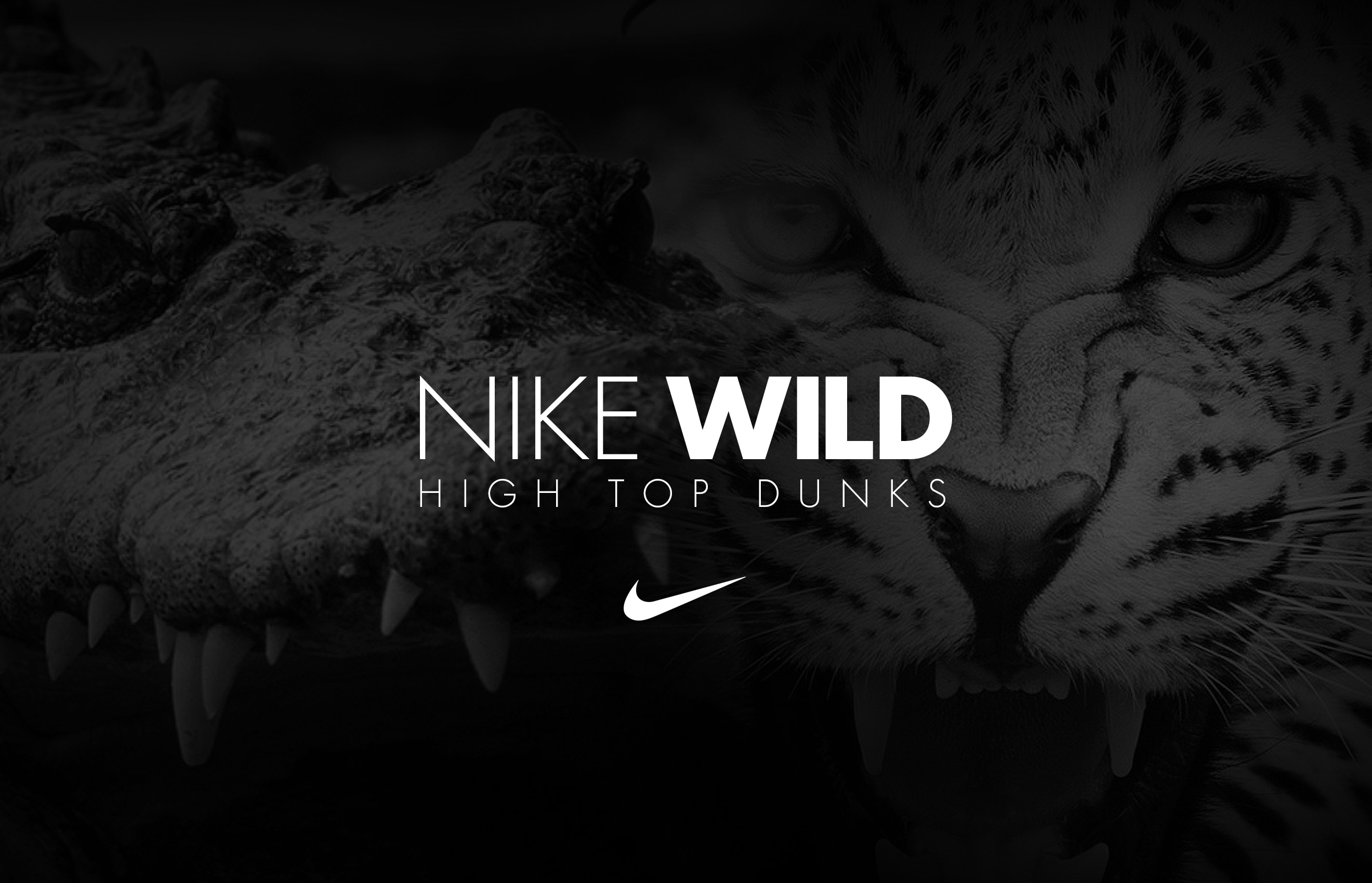slider-nike-wild